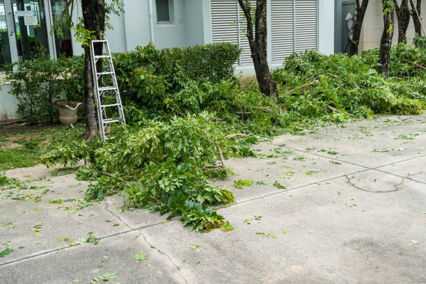 Best Lawn Watering Services  in Lakeville, MN